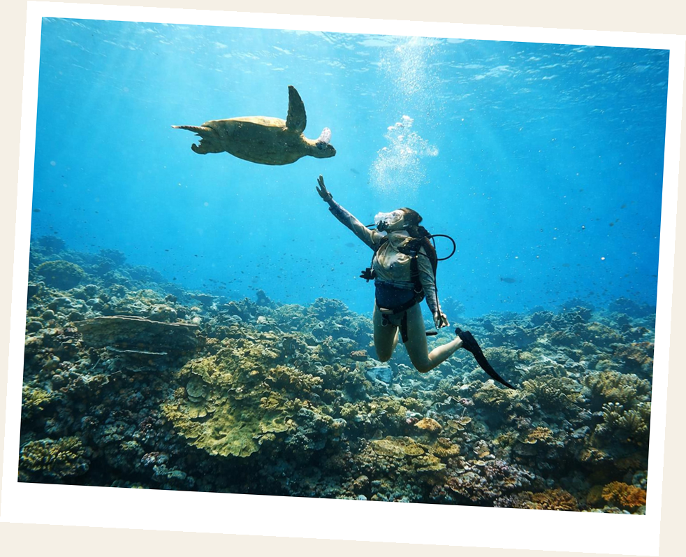 Diver with a turtle
