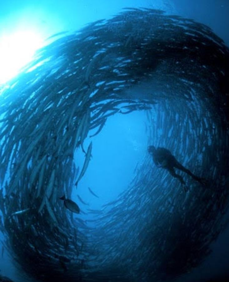 Sipadan